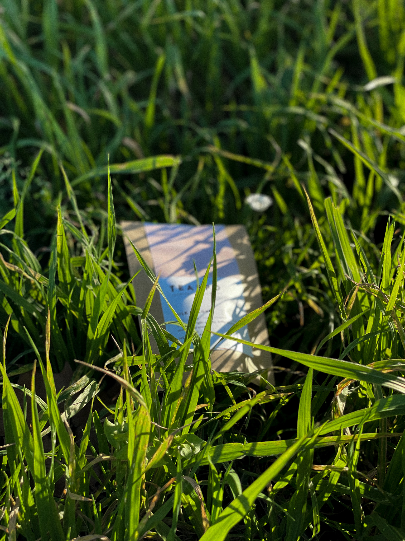 Loose Leaf Tea